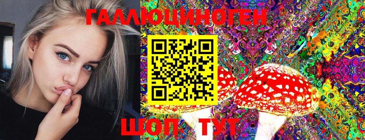 Псилоцибиновые грибы Psilocybine cubensis Ипатово