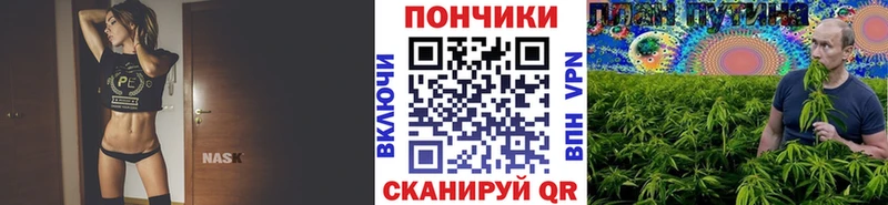 Шишки марихуана планчик  Ипатово 